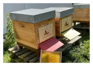 Bienenstöcke von Joe Peña's